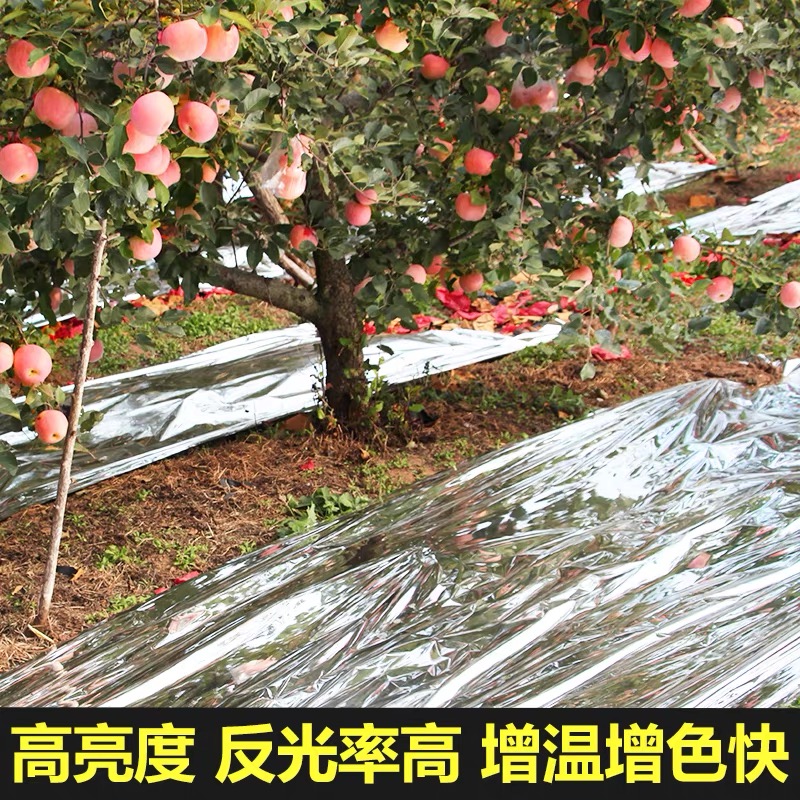克拉玛依市塑料薄膜果树反光膜 - 推荐